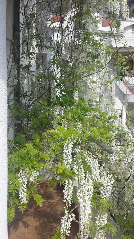 ריסאן Roman Gardens Studio Apartment מראה חיצוני תמונה
